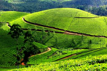 20 Rarely Explored Hill Stations To Visit In India | 365hops