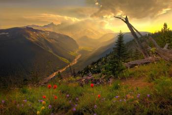 High Hill View | HD Nature Wallpapers for Mobile and Desktop