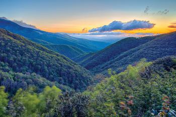 Head for the Hills
