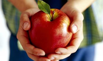 A boy holding an apple. - Callagy Law