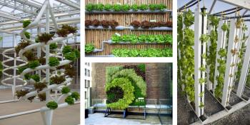 Simple Guide to Vertical Farming at Home - Soilless