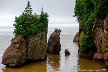 Hopewell Rocks | Best Time To Visit | Top Tips Before You Go - Guide ...