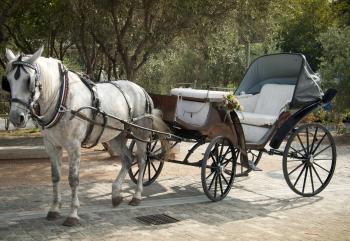 Carriage Rides in Cape May | Activities | Stockton Inns