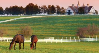 KY Horse Farm | Linnemann Funeral Homes