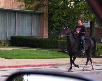 Berea's horse power trots down Front Street | cleveland.com