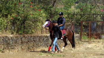 01-Horse ride for animal love