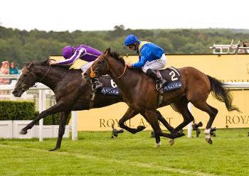 Secret of jockey's strange posture revealed - Scientific American ...