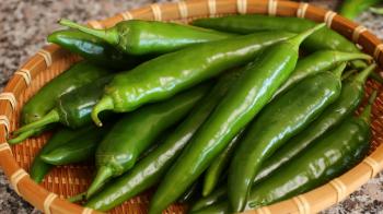 Spicy stuffed green chili pepper kimchi (Gochu-sobagi: 고추소박이 ...
