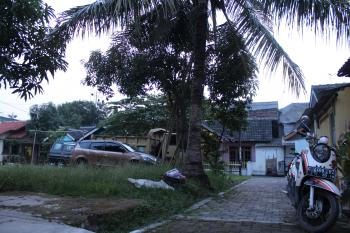House in Indonesia with Coconut Tree