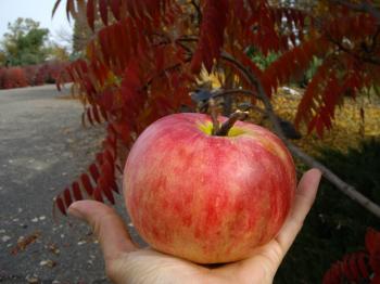 Fall | River Ranch Retreat