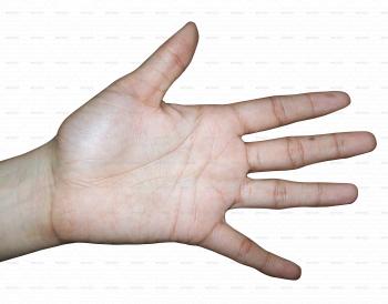 Scientific Paper Stating The Human Hand Was Designed By A 'Creator ...