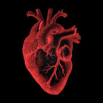 Human Heart - Anatomical Rendering on Dark Background