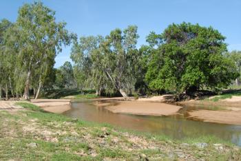 Charters Towers North Queensland - Grass Hut Station