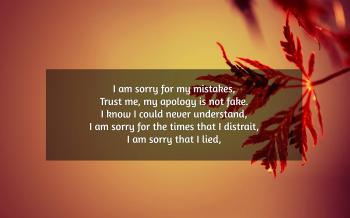 I'm Sorry Poems | Text And Image Poems | QuoteReel