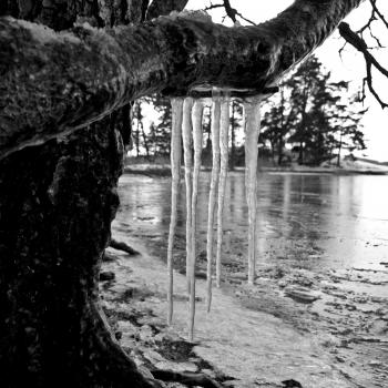 Ice and Wood