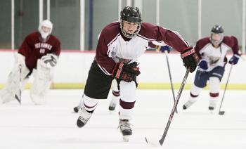 Hockey Gear and Equipment : Ep Ice Hockey Practice Equipment More ...