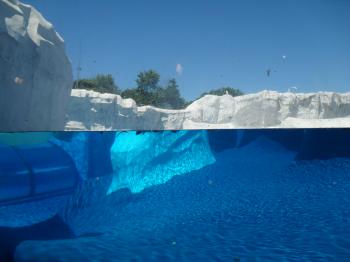 Underwater Iceberg HD Wallpaper, Background Images