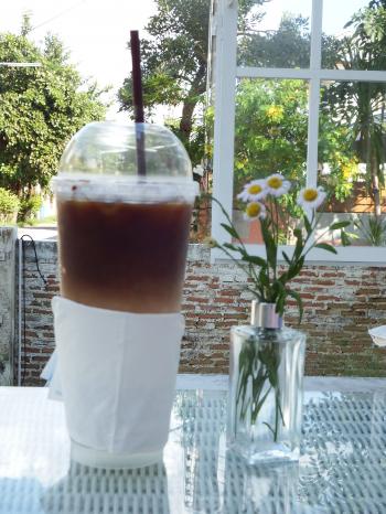 Iced Coffee in the Garden