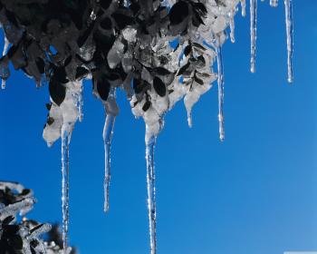 Icicles ❤ 4K HD Desktop Wallpaper for 4K Ultra HD TV • Wide & Ultra ...