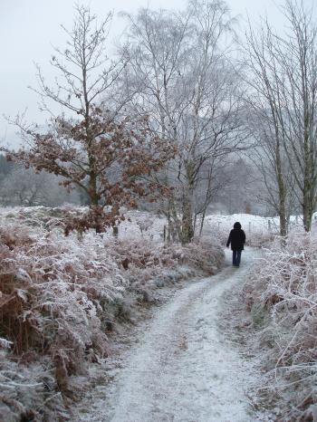 distant figure walking along a rural lane on an icy cold morning ...