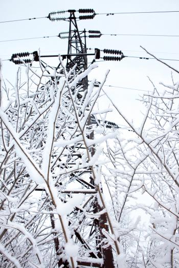 Icy Power Lines