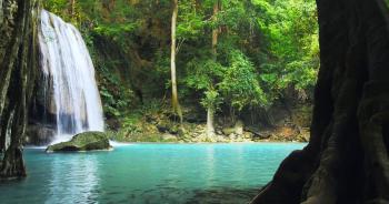 Tropical paradise nature background. Idyllic waterfall falls to ...