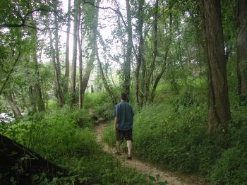 Alone in nature – Everything Matters: Beyond Meds