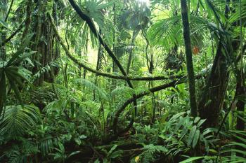 The Beast in the Jungle