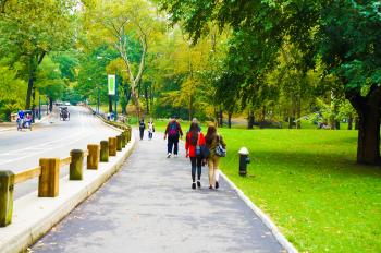 Walks in the park | Things I love | Pinterest | Park