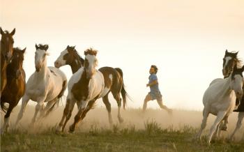 Wide HDQ Into The Wild Wallpapers (Into The Wild Wallpapers, 46 ...