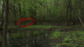i GET FOLLOWED in the woods while EXPLORING - YouTube
