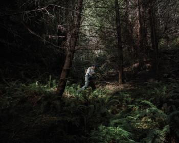 Annotation Tuesday! Ashley Powers and "The Man in the Woods ...
