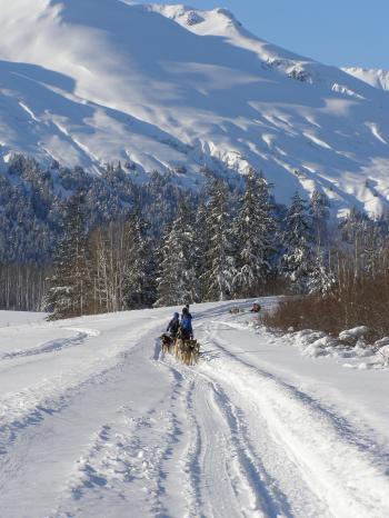 Winter Fun Starts Here! - Seward.com - Alaska Starts Here!