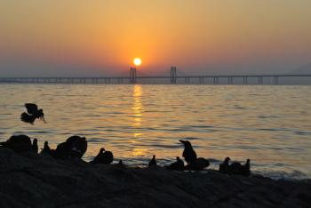 Mumbai Sunset India : Public Domain Pictures