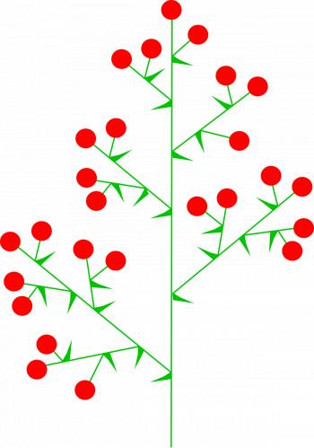 Panicle - Wikipedia