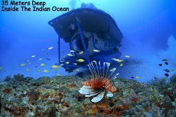When I Went 35 Meters Deep Inside The Indian Ocean |