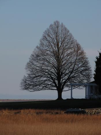 A Mind of Winter… | HAVEN