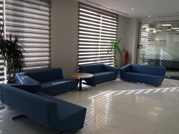 Interior - Blue Sofa