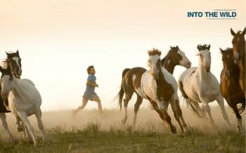 8 Into The Wild HD Wallpapers | Background Images - Wallpaper Abyss