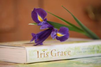 Iris Grace: Arabella Carter-Johnson: 9781405923644: Amazon.com: Books