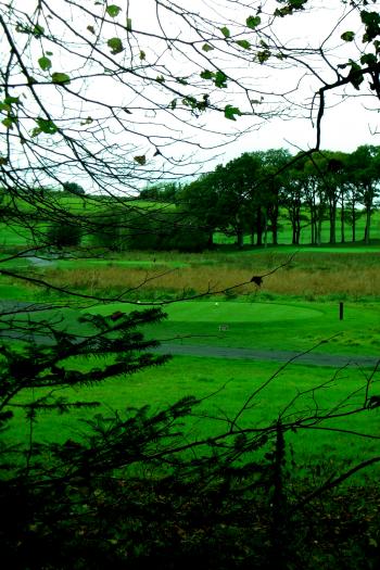 Irish golf course