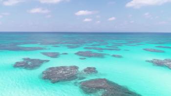 Ishigaki 2018: Best of Ishigaki, Japan Tourism - TripAdvisor