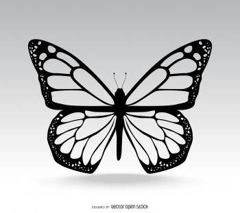Classic isolated butterfly illustration - Vector download