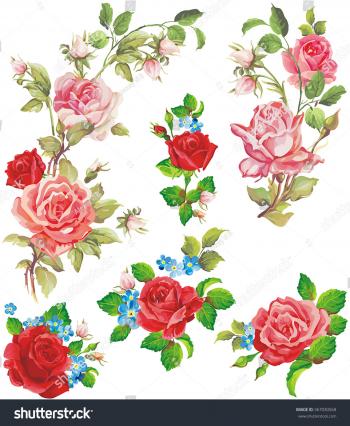 Beautiful Isolated Flowers On White Background Stock Vector (2018 ...