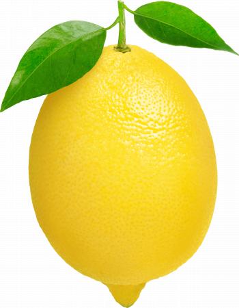 Single Lemon transparent PNG - StickPNG