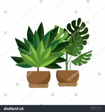 Isolated Plant Design Stock Vector 757096063 - Shutterstock