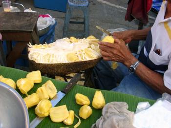 Jackfruit preparation