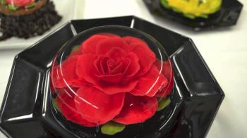 Jello Flower Introduction - YouTube