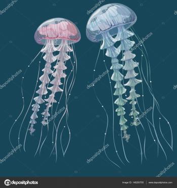 Detailed transparent jellyfish. Pink and blue sea jelly on blue ...