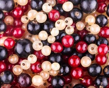 Juicy background of fresh berries